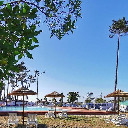 Mira Lodge Park Praia de Mira Εξωτερικό φωτογραφία